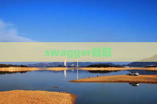 swagger截取